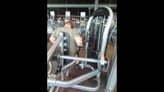 Мускулистый мишка в спортзале