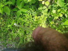 pissing in the great outdoors pov
