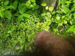 Pissing in the Great Outdoors POV