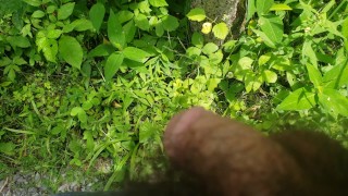 pissing in the great outdoors pov