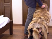 Preview 6 of Submissive redhead slut fucked hard in fur coat, sexy black lingerie, foxtail anal plug, high heels