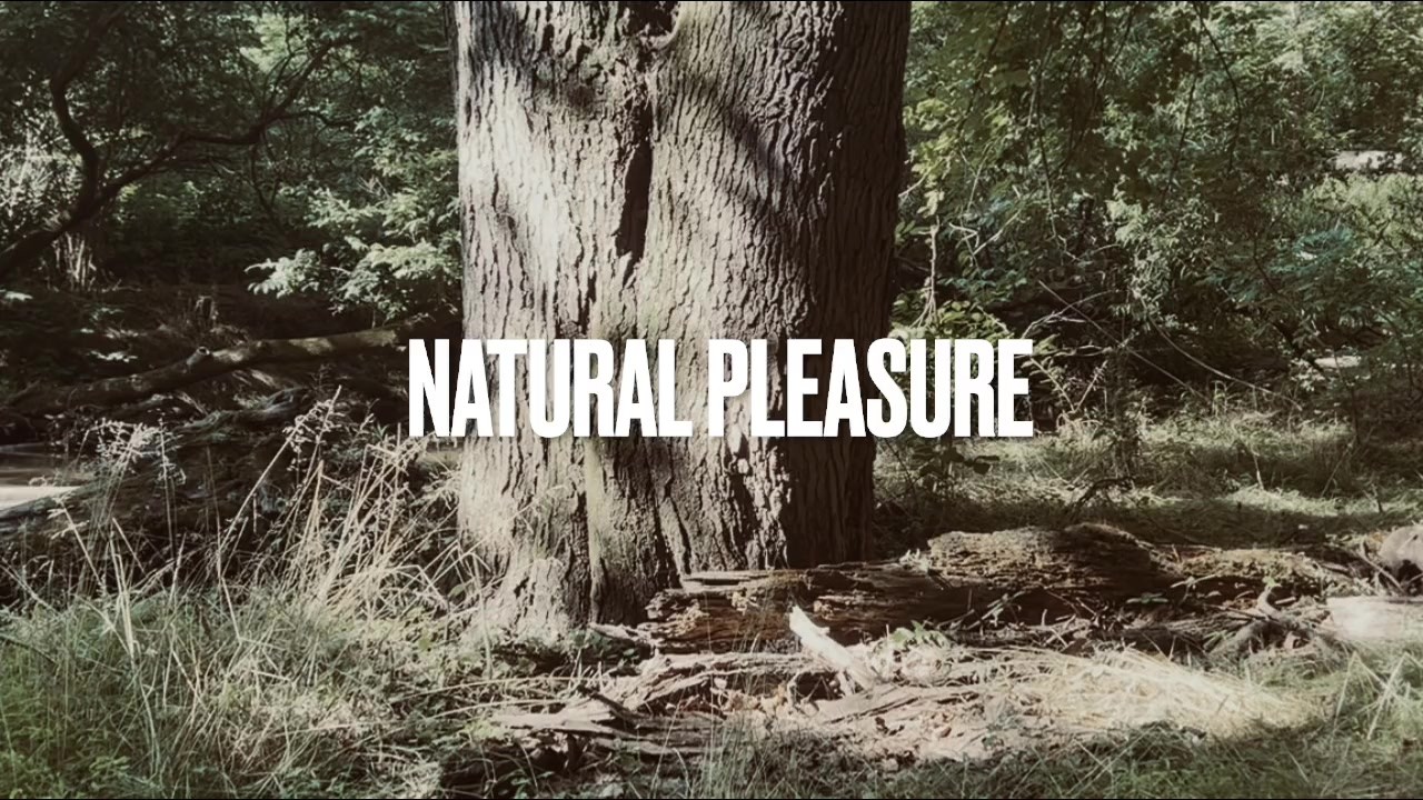 Outdoor Masturbation BBC Porn Video - Rexxx