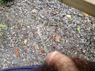 pissing in the park