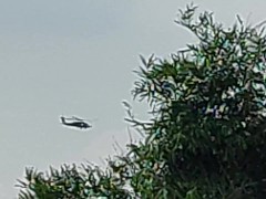 兩架直升機盤旋 - Screenshot 10 of 16 - Military