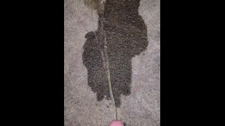 Pissing On The Carpet! 《4K》