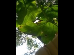 Have no clue as always looks promising tho/ lmao its mi armadilla family yo