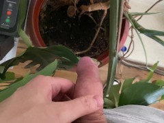 Watering the tree in the office - Screenshot 1 of 16 - Pissing