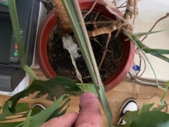 Watering the tree in the office - Screenshot 10 of 16 - Man Peeing