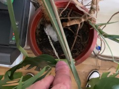 Watering the tree in the office - Screenshot 13 of 16 - Man Pissing