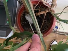 Watering the tree in the office - Screenshot 14 of 16 - Men Peeing