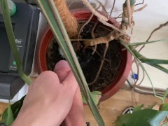 Watering the tree in the office - Screenshot 16 of 16 - Pissing