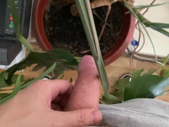 Watering the tree in the office - Screenshot 2 of 16 - Men Pissing