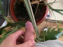 Watering the tree in the office - Screenshot 3 of 16 - Man Pissing