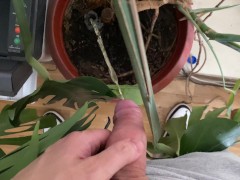 Watering the tree in the office - Screenshot 5 of 16 - Man Peeing