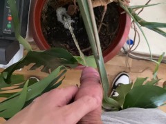 Watering the tree in the office - Screenshot 7 of 16 - Men Pissing