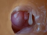 The guy found a way to find out what happens inside the anus during sex