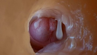 Der Typ fand einen Weg, um herauszufinden, was beim Sex im Anus passiert