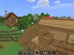 How to make a large cottage house in Minecraft