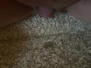 Preview 1 of I had to pee so bad! Carpet pee with dripping cum