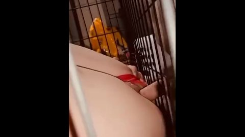 Naughty girl pleases daddy in cage