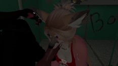 3D Furry
