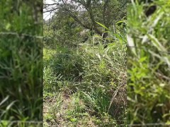 Pissing in the cold wind, frozen treats