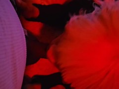 Red-light bj - Screenshot 1 of 16 - Sexy