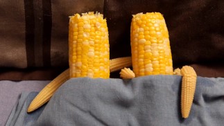 07.Upload720p_2023.24