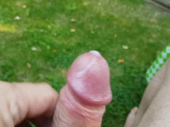 Enjoying a wee morning wank outside, with bonus visit from a Blue Jay