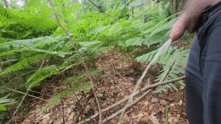 Pisser près de la dorest et de la route principale