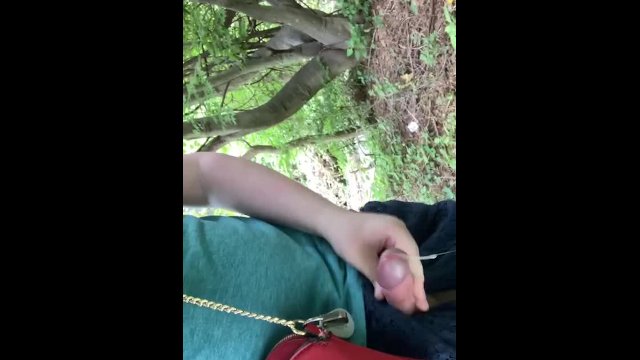 Risky! hiding by the street in a bush till I cum.