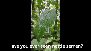 La nature éjacule - Sperme de ortie - Jizzy joke