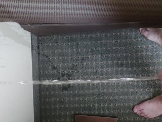 Hotel Piss on Wall 2