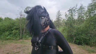 Férias de Ponyplay com um final feliz - Trailer