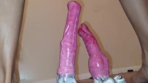 double stuffing a horse dildo and dog dildo