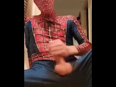 Spider-Man cosplay