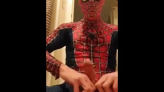 Cosplay Spider-Man