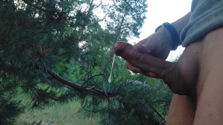 Branlette en forêt sur la plage d’un jeune minet et beaucoup de sperme pour vous