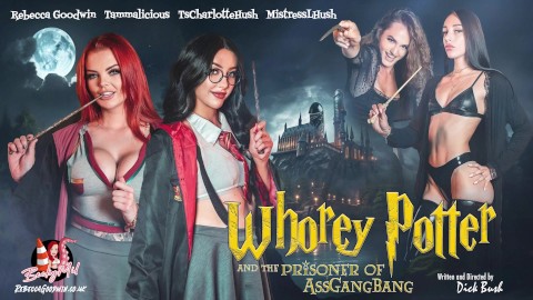 WHOREY POTTER E O PRISIONEIRO DE ASSGANGBANG - Rebecca Goodwin