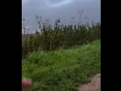 Strip naked at beauty spot , pee in puddle and walk back to car naked