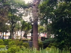 Showing my pussy and masturbating in a park near the street