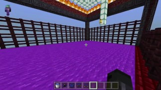 THE BEST FUCK IN MINECRAFT