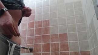 Писание в туалете на заправке