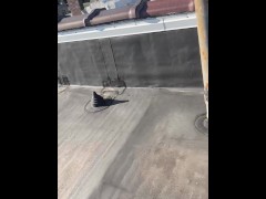 Outdoors rooftop that ASS tho.. - Screenshot 11 of 16 - Deamarie6969