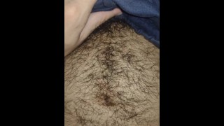 Close up footage bear belly