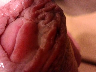 Маринованная крайняя плоть полового члена