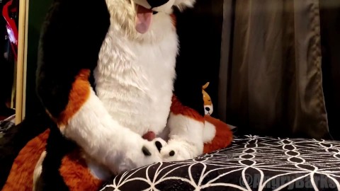 Horny dog humps his own paws until he