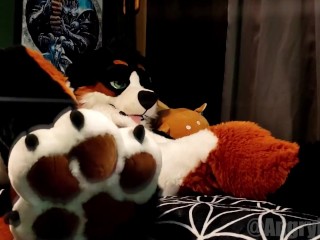 Horny Pup Humps his own Paws