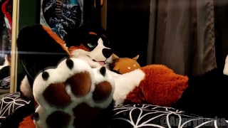 Horny Puppy Humps His Own Paws
