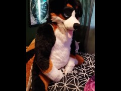 Murrsuiter cumming in slow motion from humping his paws - Screenshot 9 of 16 - Foot Fetish
